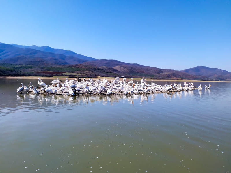 Λίμνη Κερκίνη